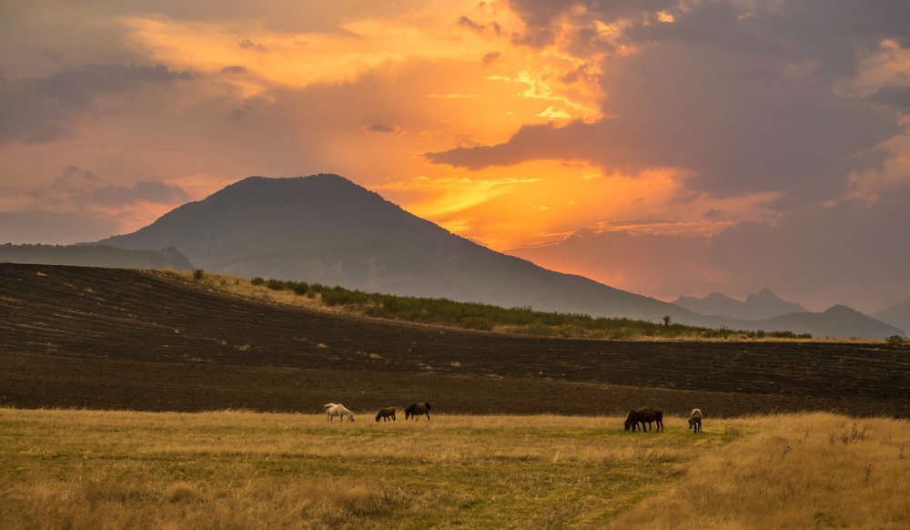 Фотография автора Севак Асрян