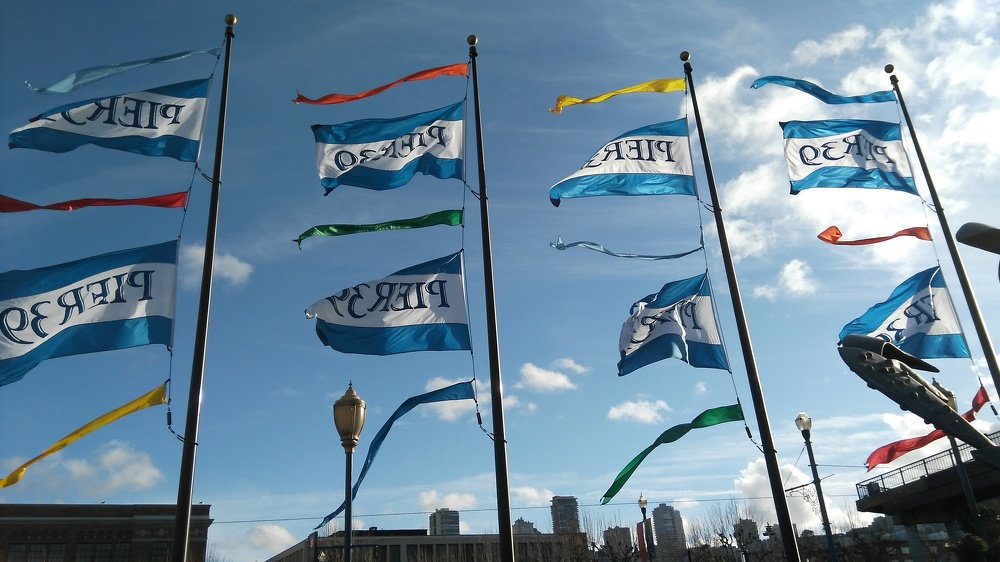 Photograph by Владимир Гречанинов