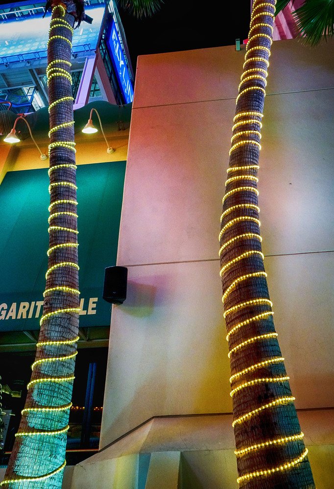 Photograph by Владимир Гречанинов