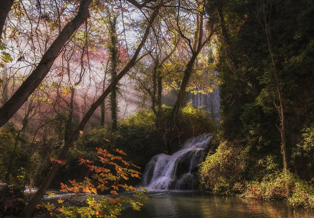 Осень в лесу