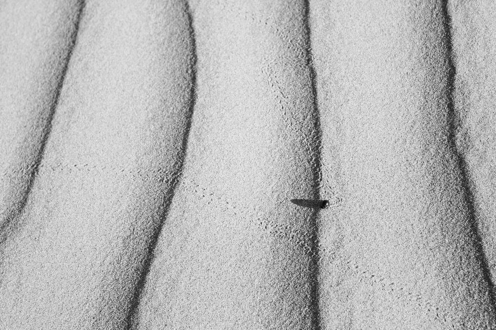 Photograph by mokhalad albu mohamad