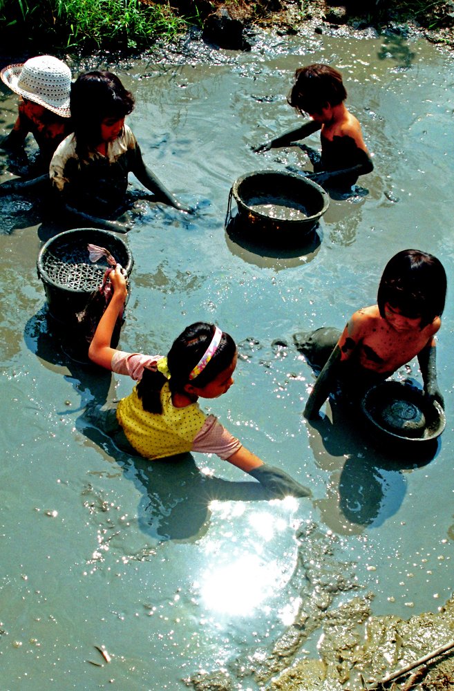 CHILDREN ARE PLAYING