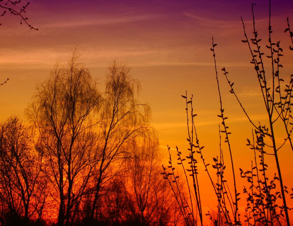 Весенний закат