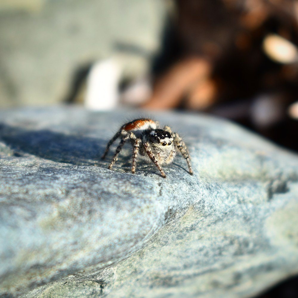 Такой маленький.