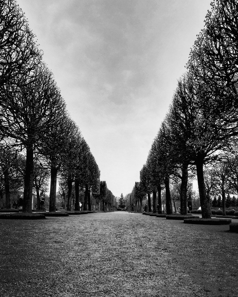 Photograph by Дмитрий Александров