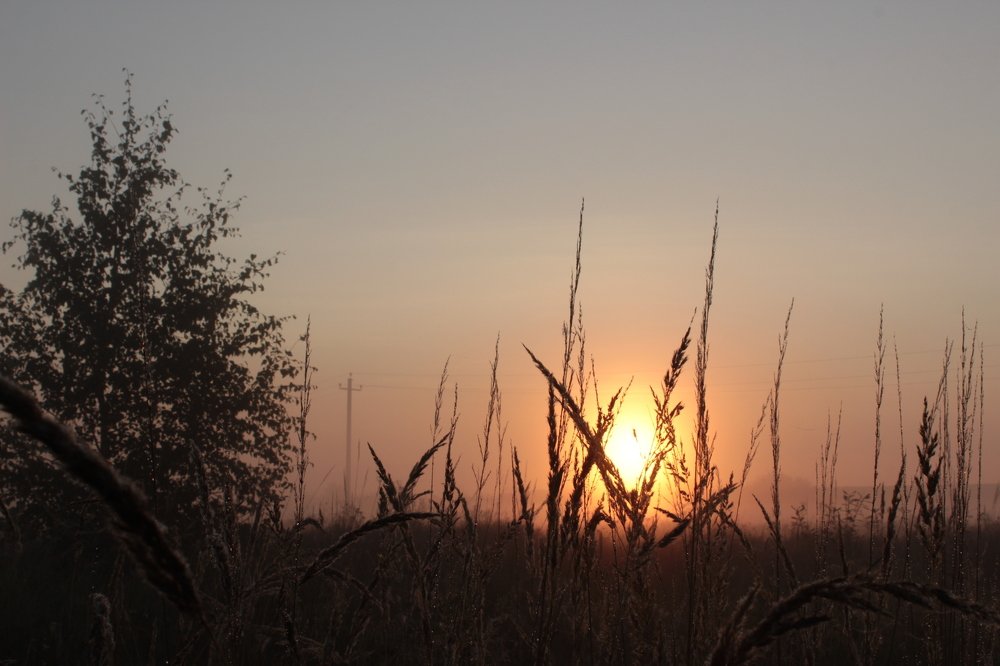 Антены утра