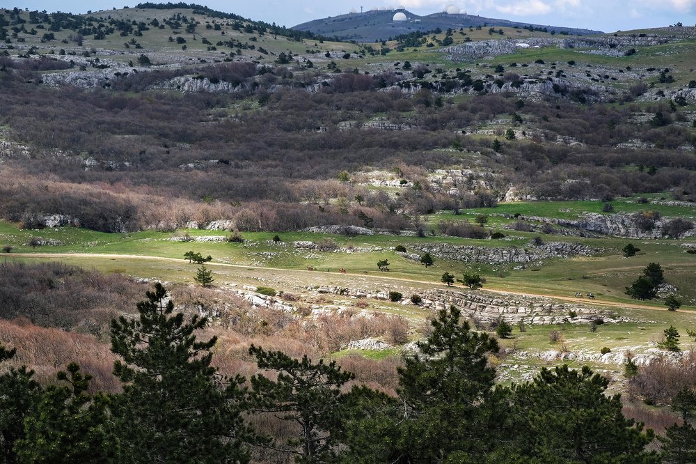 Луч света в долине