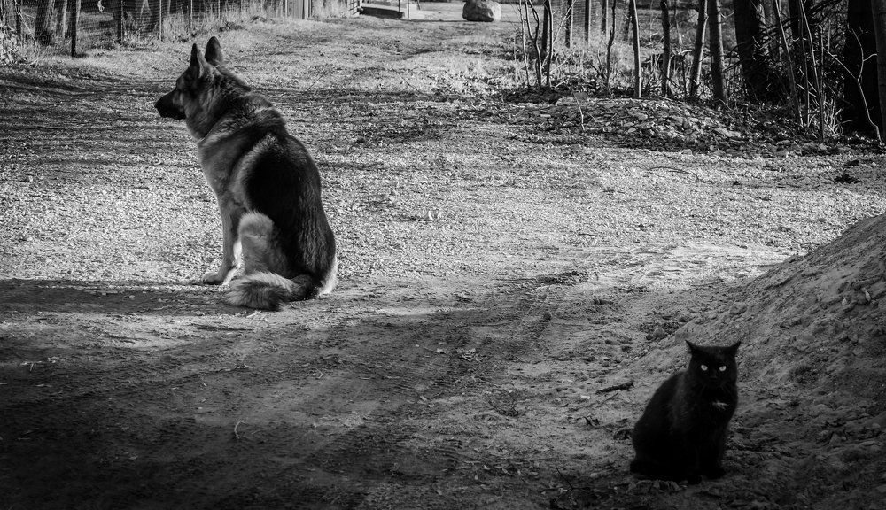 Поругались...