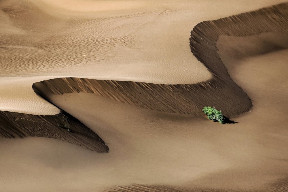 Photograph by Mina Yazdani rad