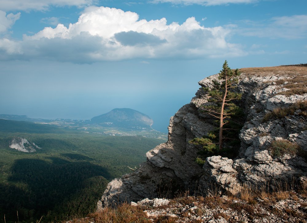 На семи ветрах