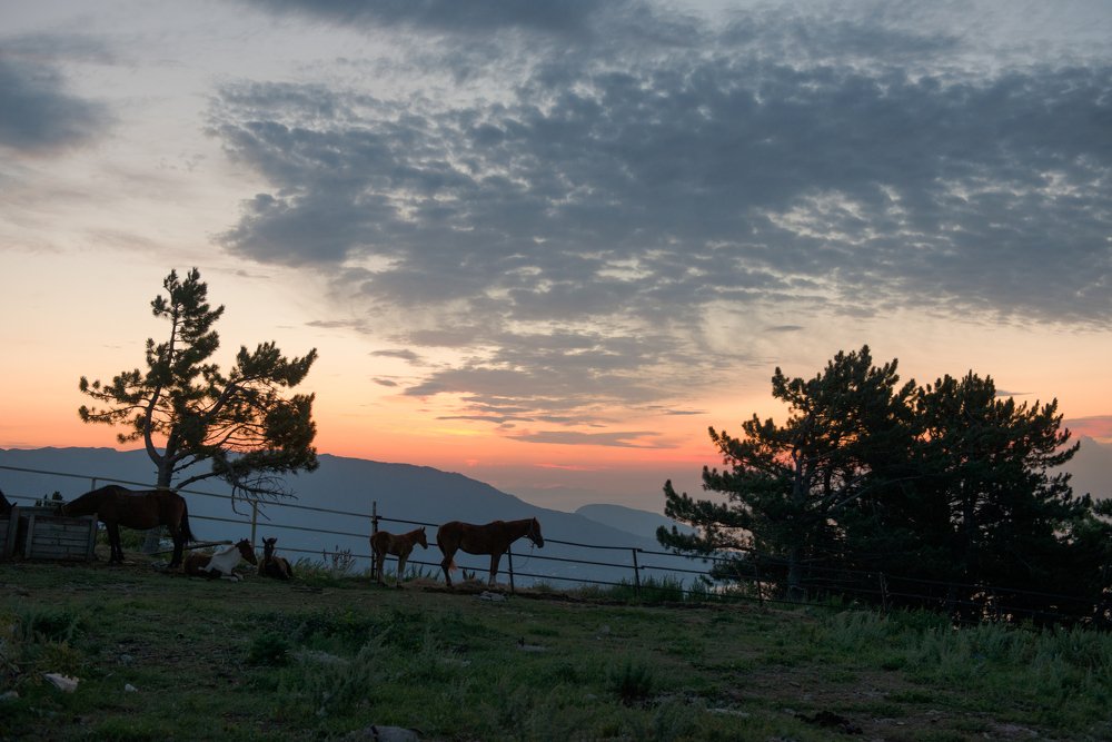 На рассвете
