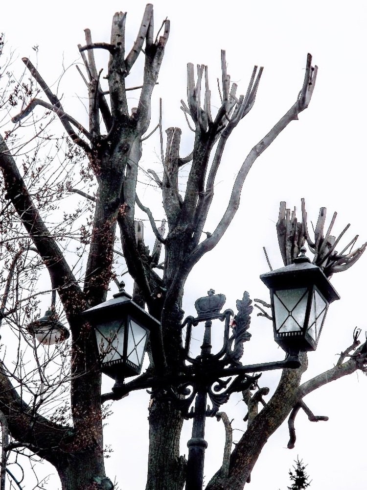 Герб города Симбирска (Ульяновска) внутри закорючек