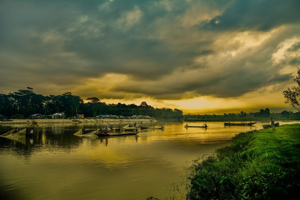 Natural fishing egg from Halda River Bangladesh
