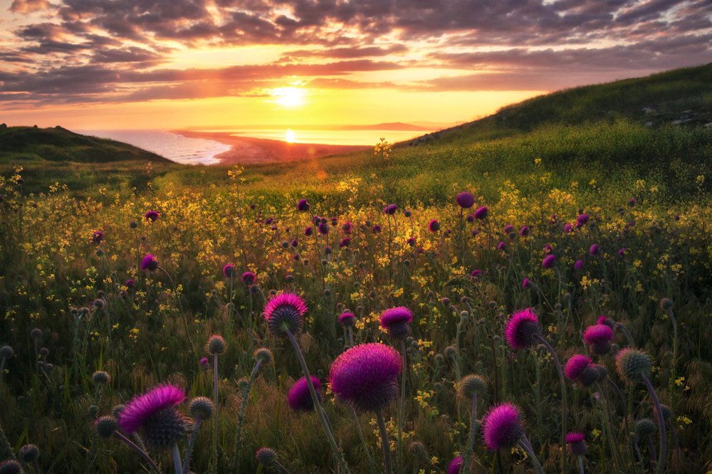 Золотой закат