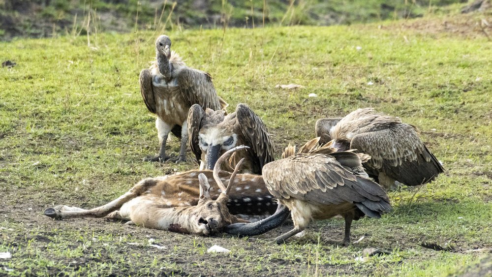 A race to comprehend!