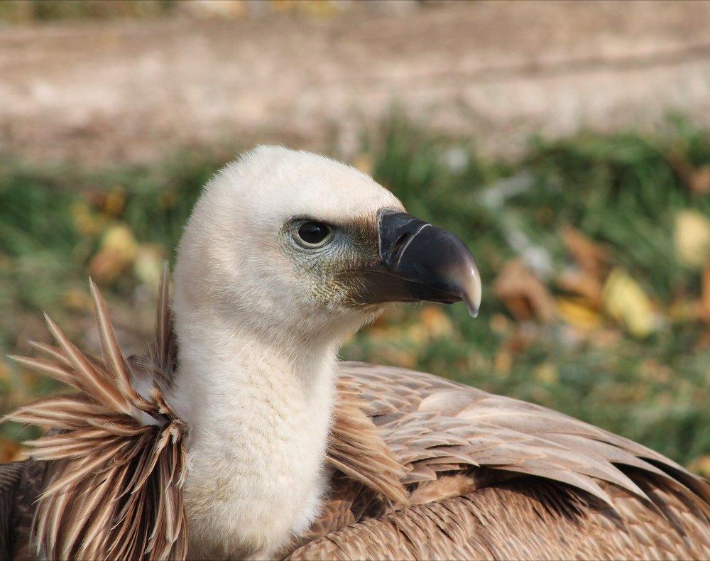 Photograph by Ирина Поваляева