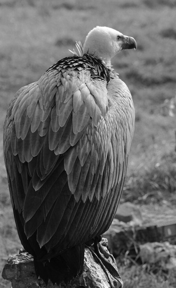 Photograph by Ирина Поваляева