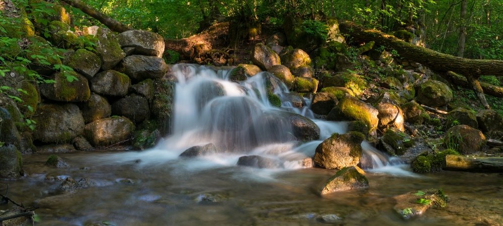 Лесной ручей