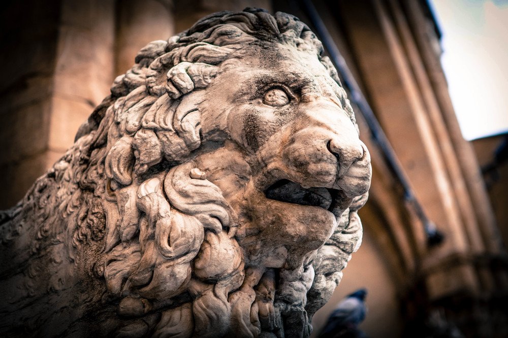 LIONE DI FIRENZE