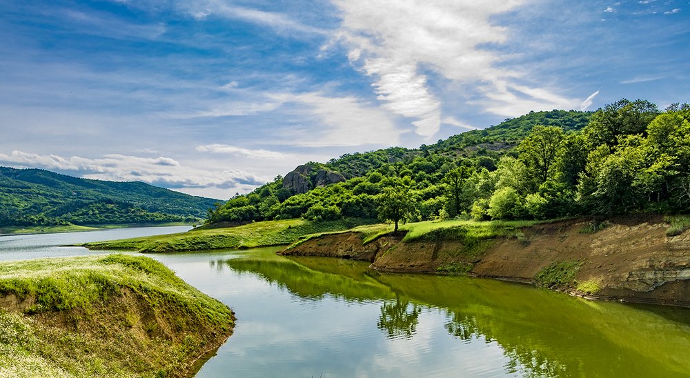 Photograph by Alex Kalpus