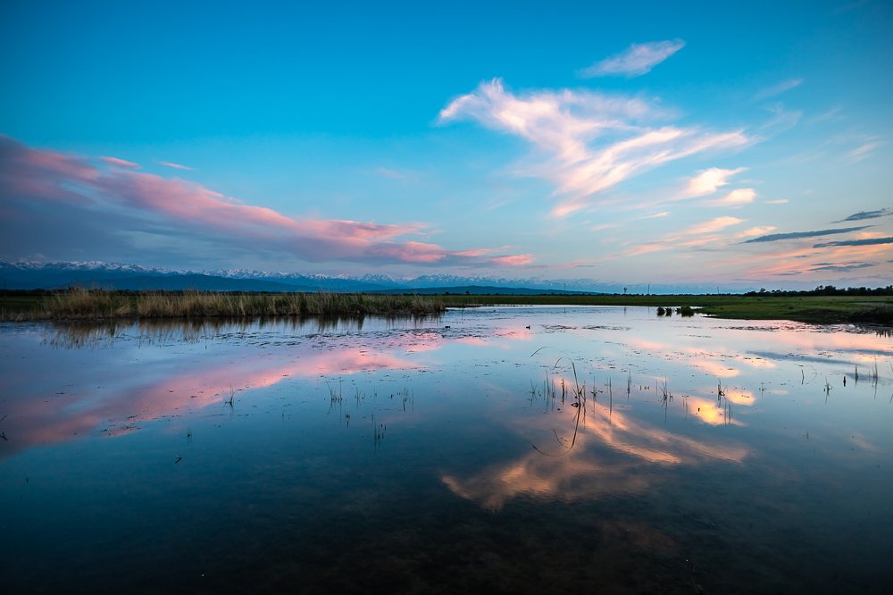 Небесная лошадь