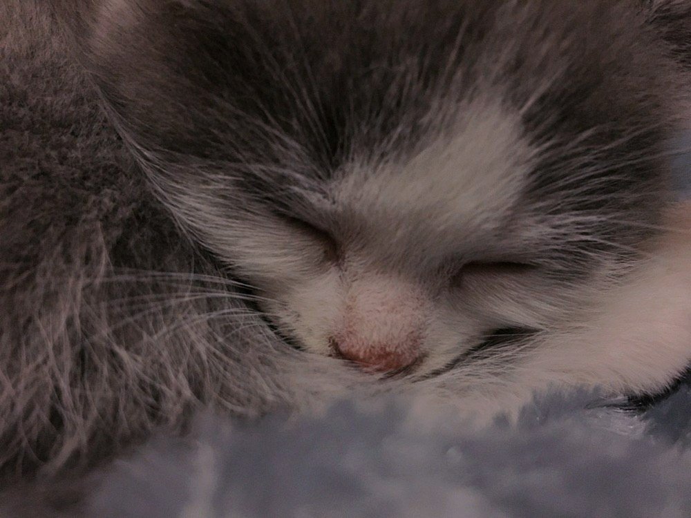 Photograph by Вероника Косян