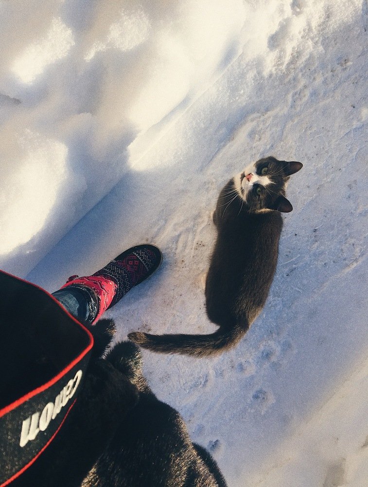 Давай кушать)