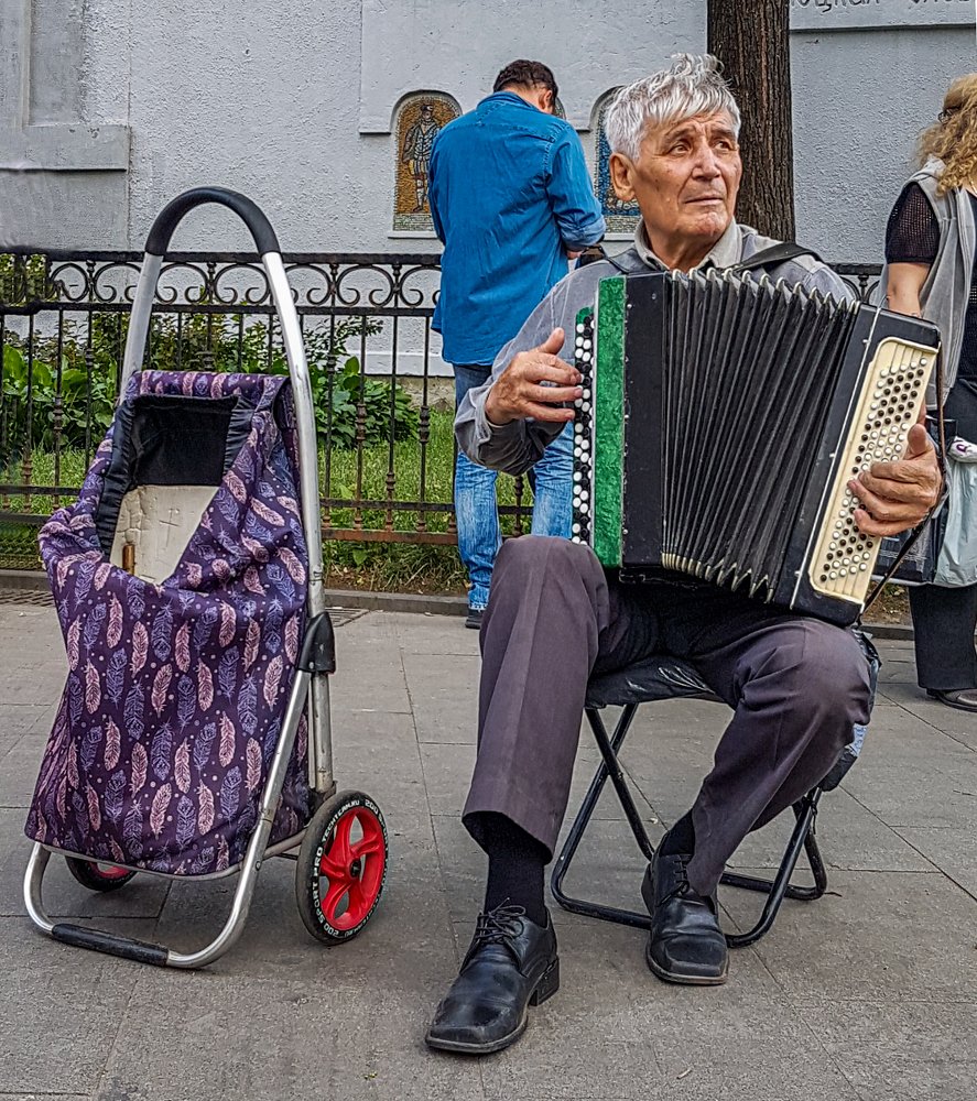 гармонист 2