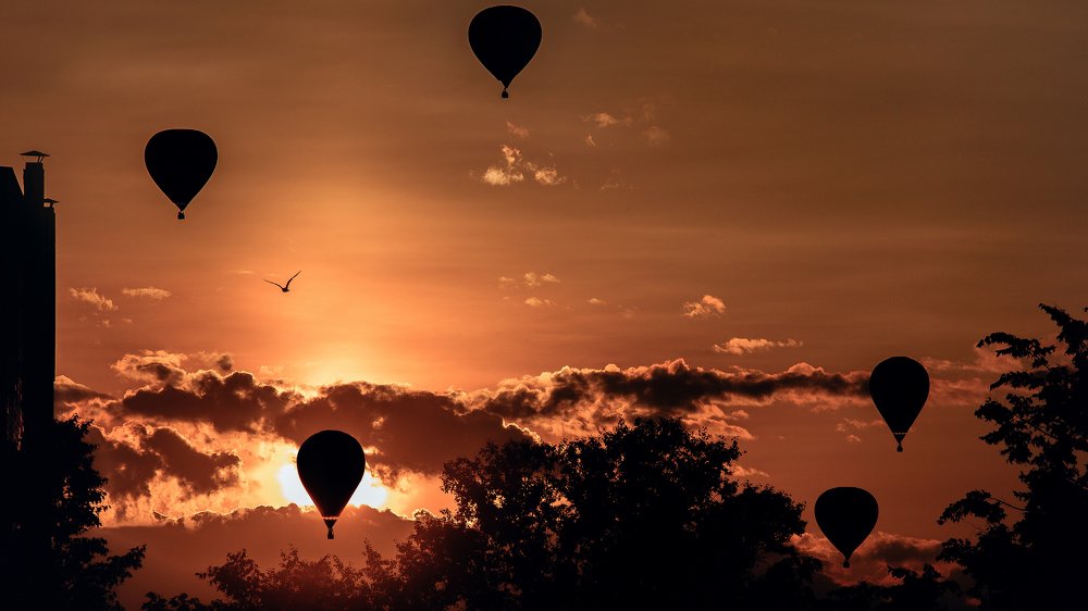 ушли в закат