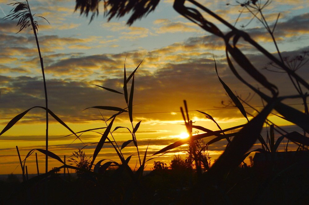 золотой закат