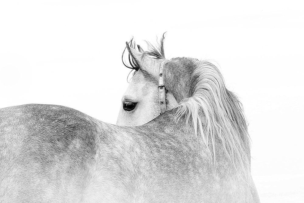 Silence parallel beauty