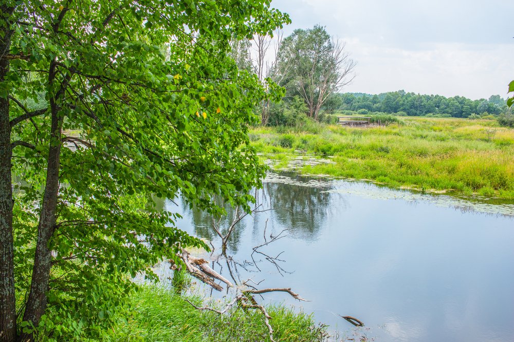 Речка детства