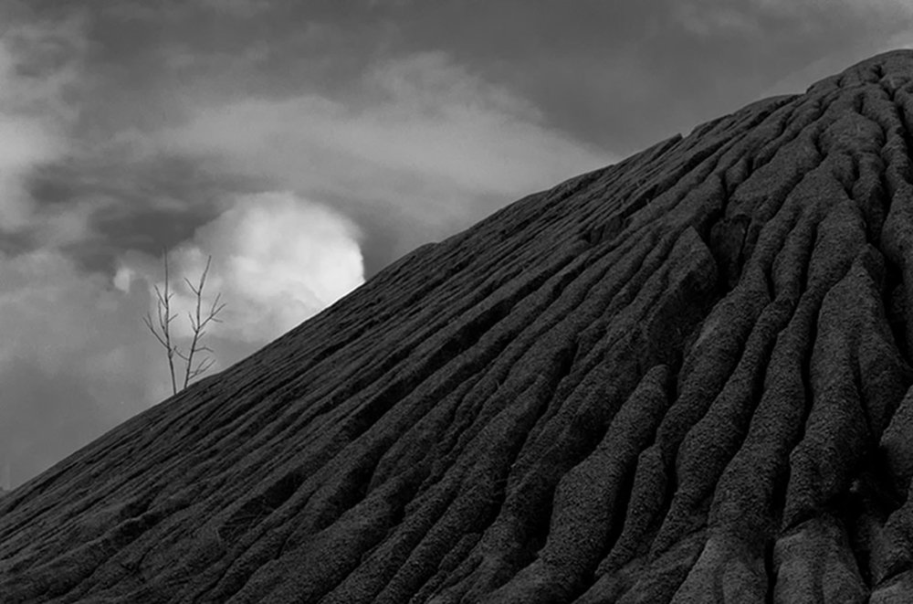 Воля к жизни.