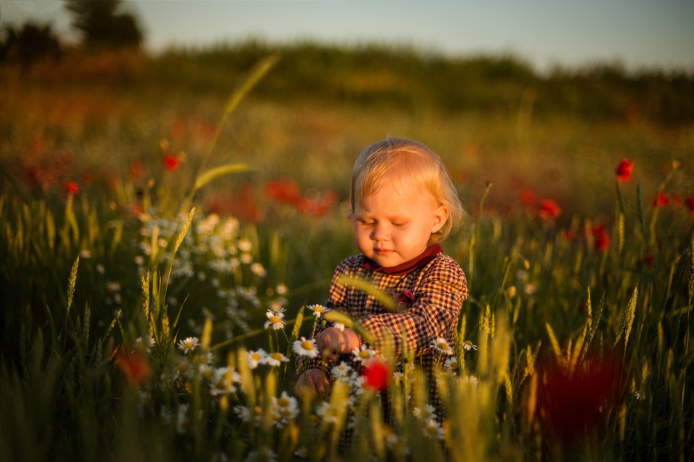 Кроха в поле