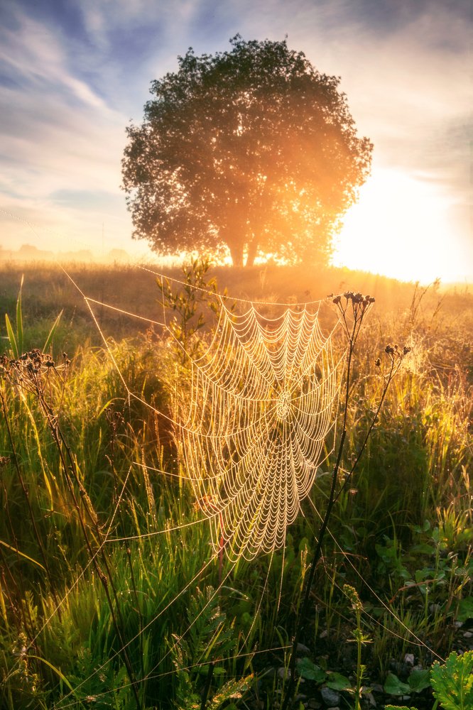 Хрустальная паутинка