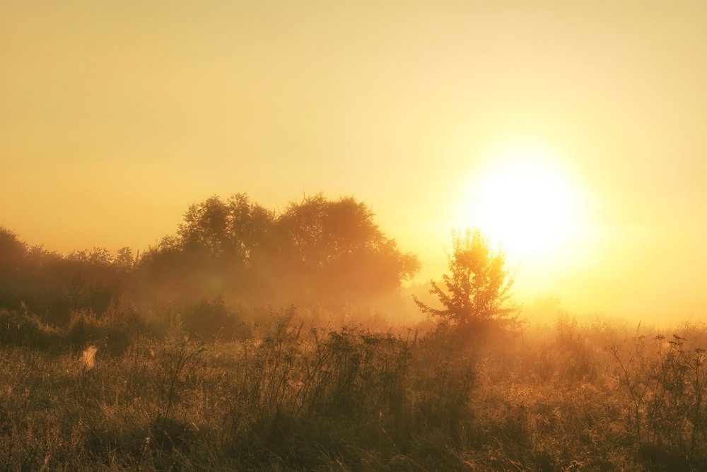 Photograph by Gabriel Wolf