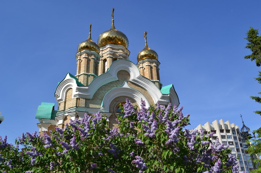 Весна в Омске