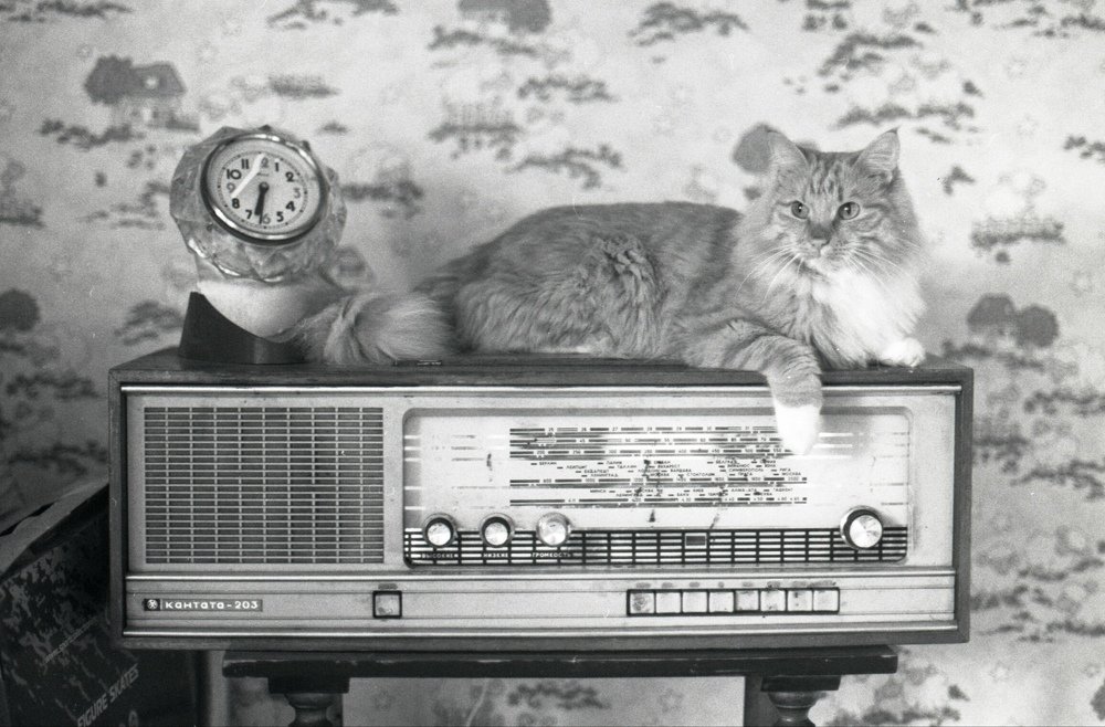 Фотография автора Илья Глобин