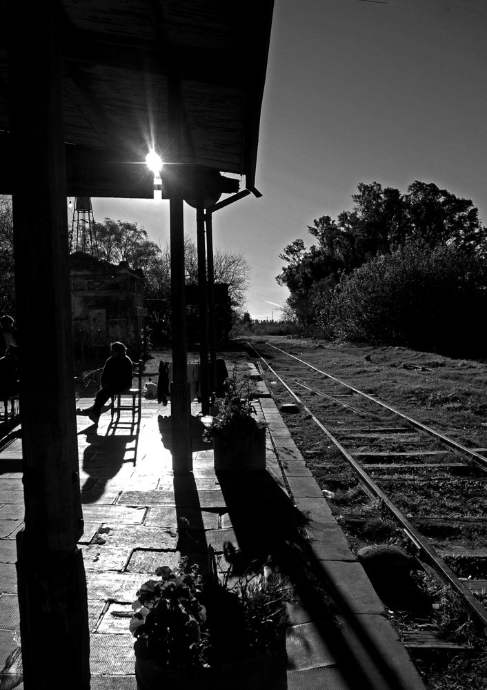 Photo #3316666