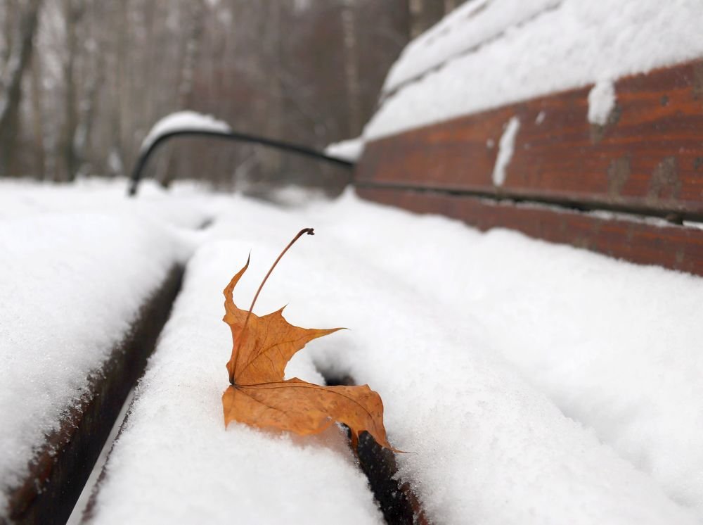 Последний листок