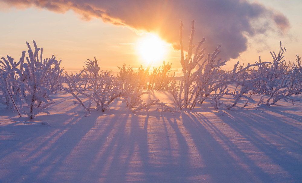 полярный восход