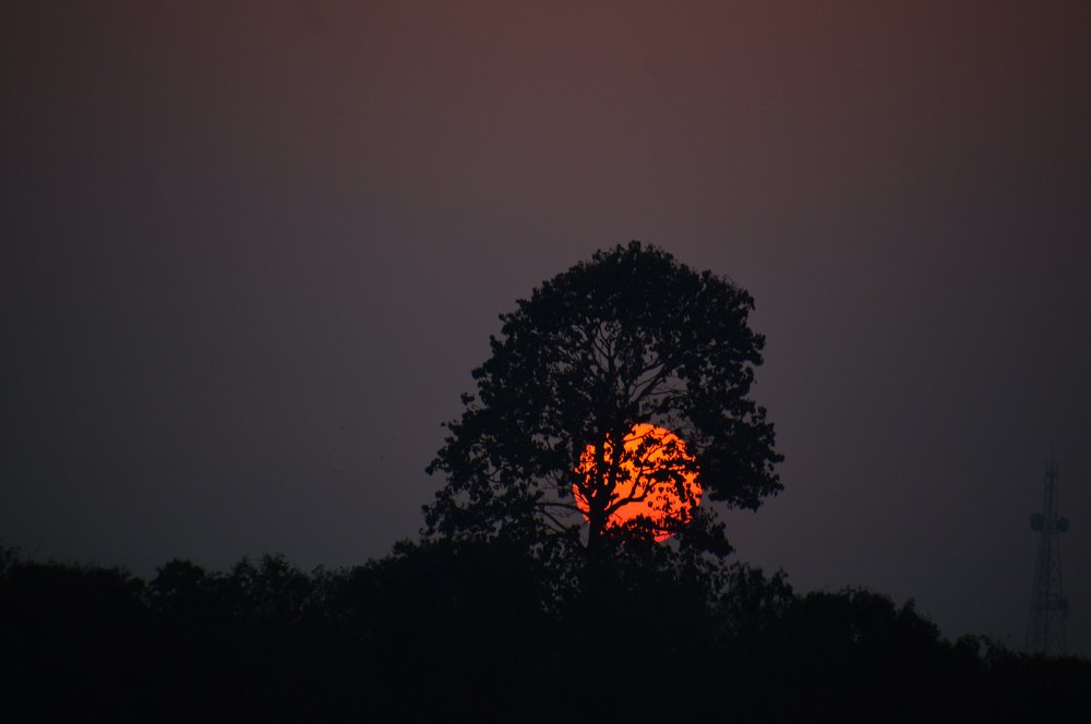 Sunset at Nandankana Botanical Garden !!!
