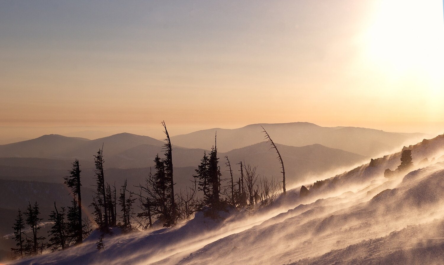 Photo #3317200
