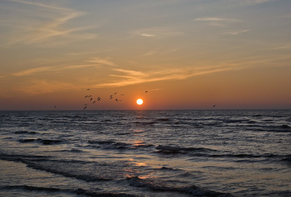 Мы улетаем.