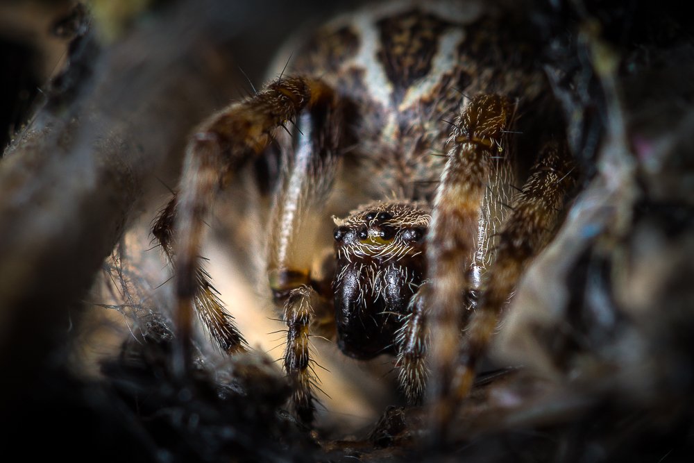 Waiting for the right moment