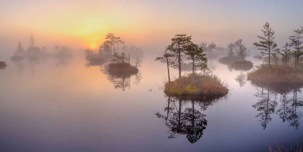 Photograph by Ковалевич Олег Степанович