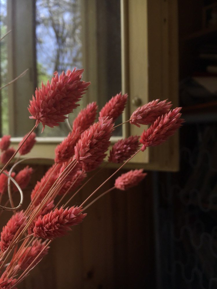 Photograph by Светлана