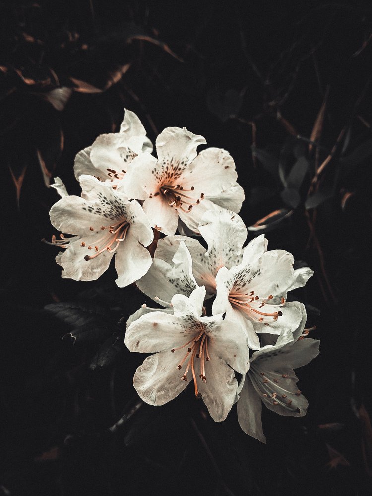 Одинокий и замерзший