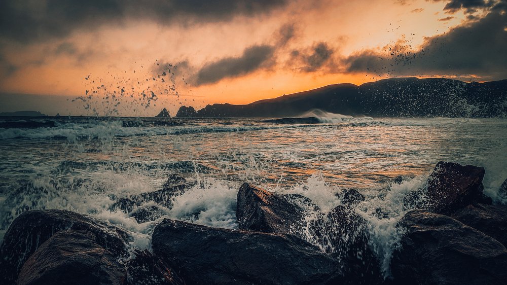 Сила и красота