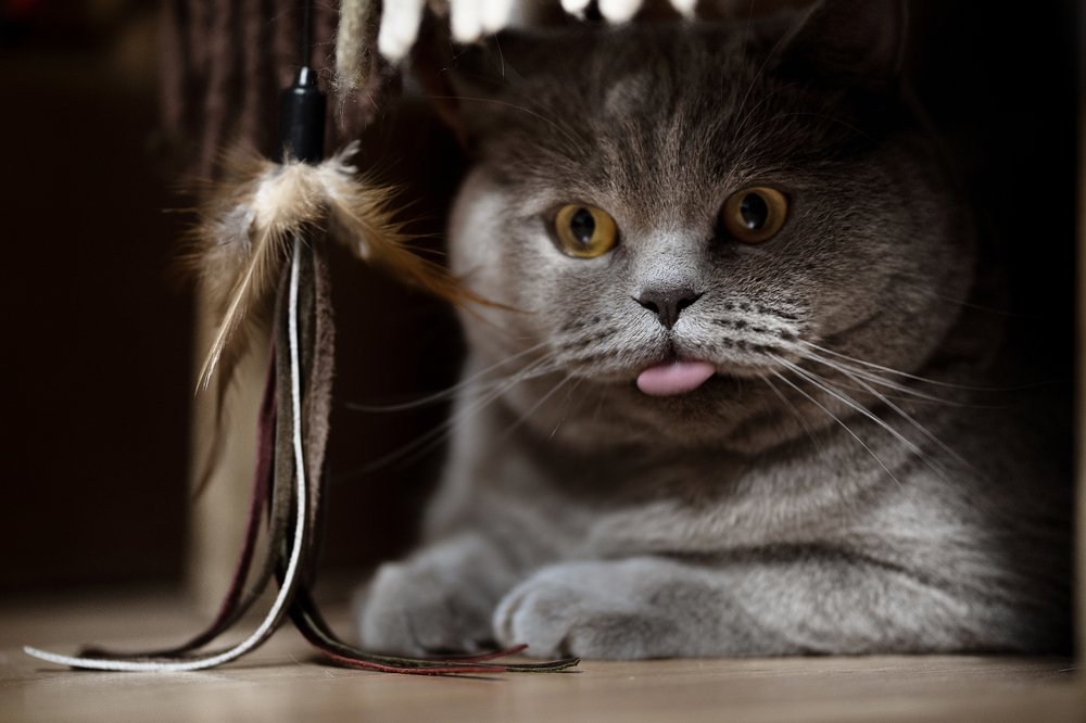 Photograph by Анна Орловская